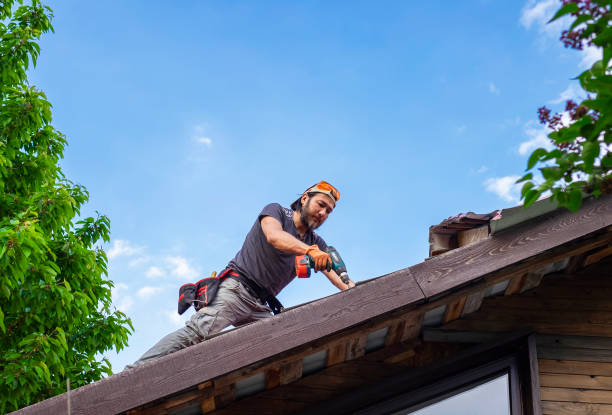 Best Metal Roofing Installation  in Pleasant Hill, MO